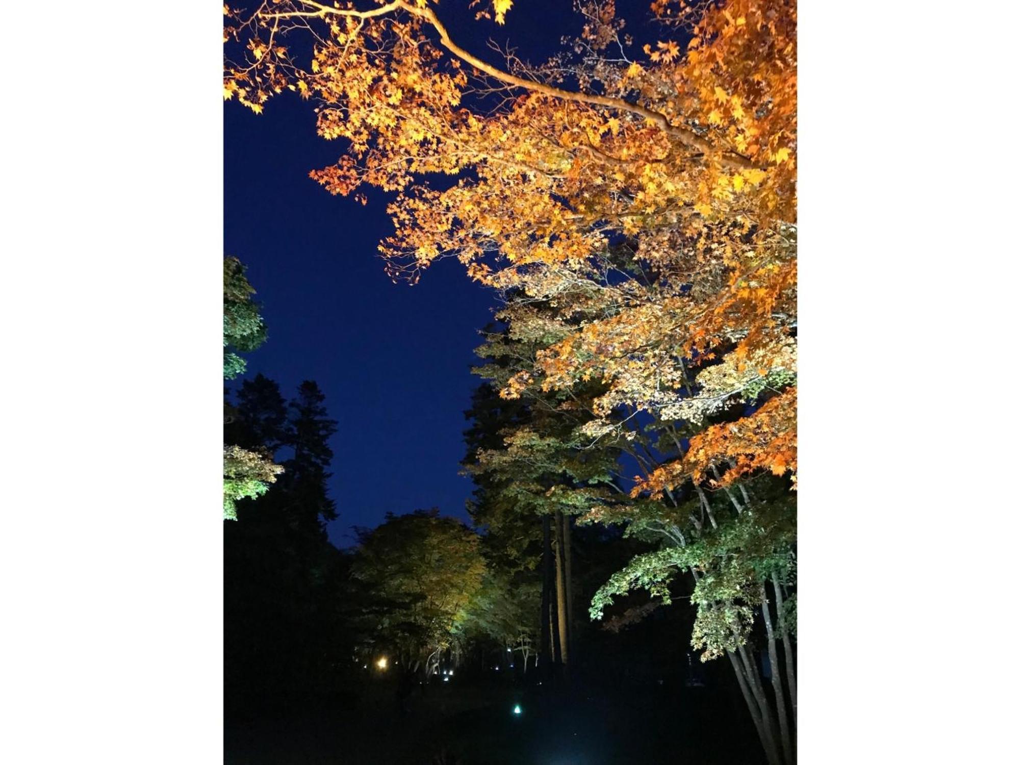 Hotel Tetora Yunokawaonsen - Vacation Stay 30623V Hakodate Exterior foto